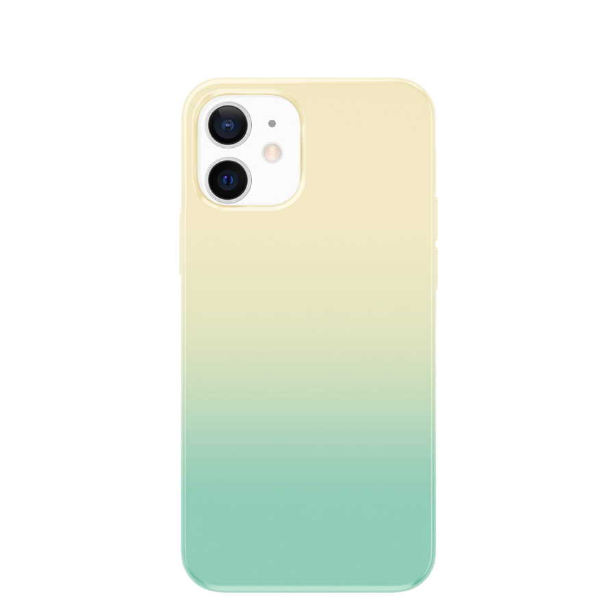 Syrup gradation case (5 colors)치즈빈